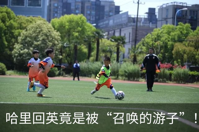 哈里回英竟是被“召唤的游子”！背后复杂事儿可不止安全问题！
