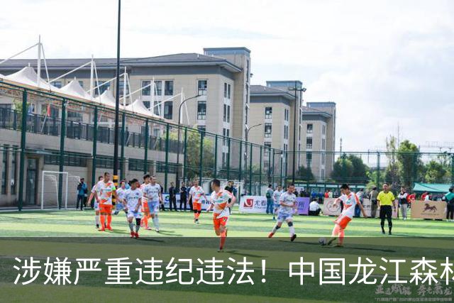涉嫌严重违纪违法！中国龙江森林工业集团原董事长李坤被查；曾任黑龙江省委副秘书长、伊春市市长、黑龙江省委宣传部常务副部长等职务